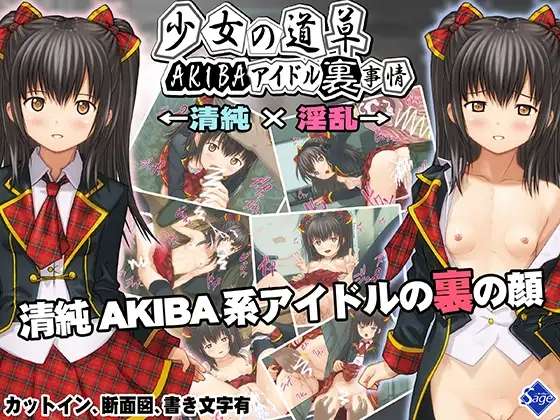 [ADV/AI汉化] 少女的闲逛~秋叶原偶像内幕 少女の道草AKIBAアイドル裏事情 -闇堕ちアイドル裏営業- [366m