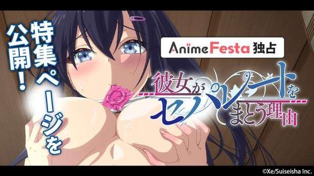 [里番动画][AnimeFestaオリジナル] 彼女がセパレートをまとう理由 [540M]
