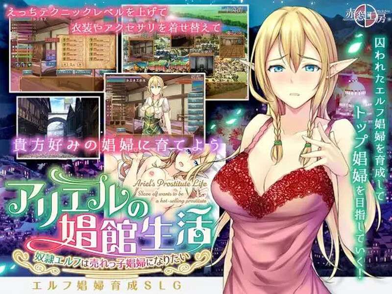 [经营SLG/卖春援交/PC] 艾莉尔的风月人生アリエルの娼館生活V1.02-官中+DLC [700M/百度/夸克]