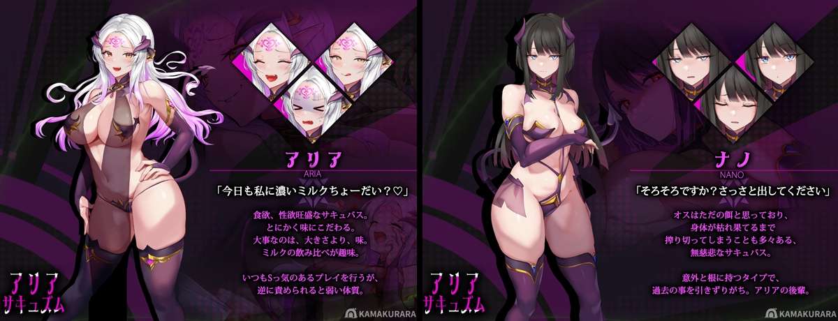 图片[9]-[日式SLG/动态/PC] 阿里沙现象（アリアサキュズム） 机翻汉化 [400M]-目标是h游戏大师