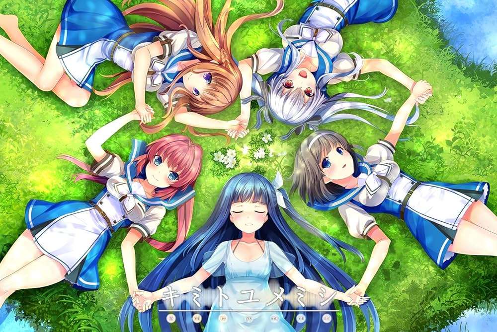 [PC/ADV/新汉化]キミトユメミシ[2.91G/OD/度云]