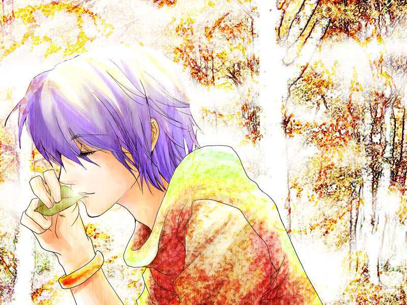 [PC+Kr] 美少男梦工厂绮丽版 古早 养成 含BL内容女性向