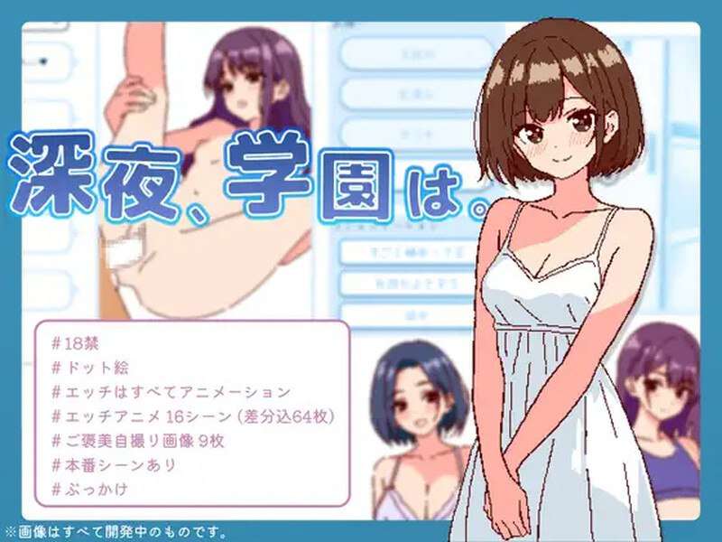[互动SLG/校园JK/风俗/像素动态]深夜学校深夜学園はV1.0 DL原版生肉[PC/250M]
