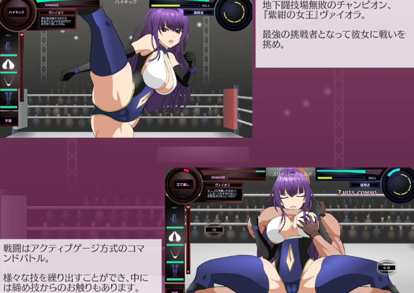 格斗女王维奥拉pc/汉化