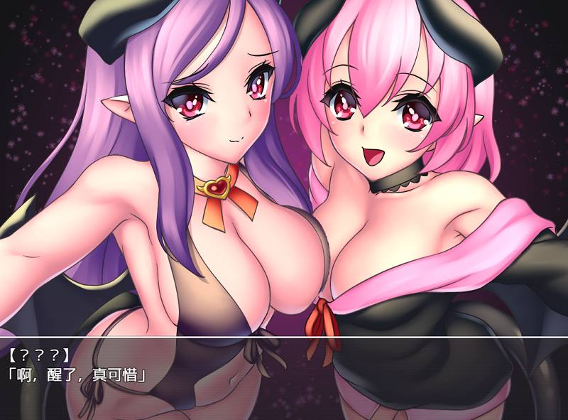 648-PC+安卓-黄油-梦堕之夜-成人游戏-汉化版-1.0 [480MB]