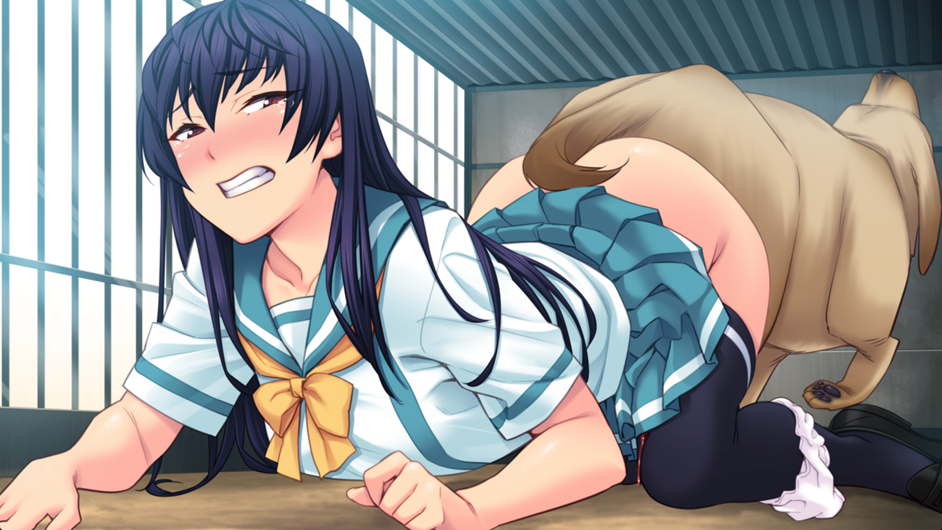 [PC/ADV/AI汉化]ヘチマに恋する女子校生[1.79G/OD/BD/BH]