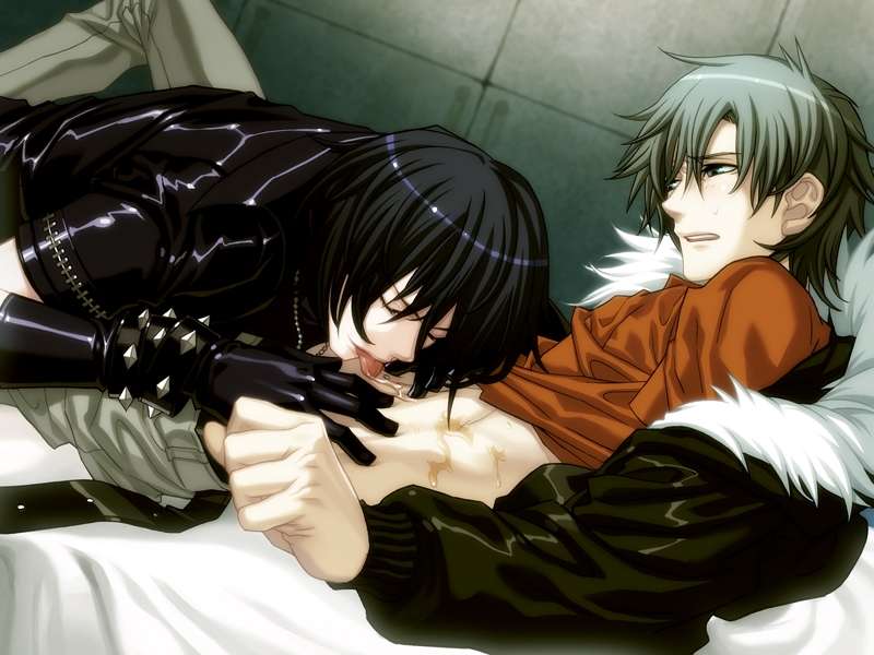 [PC汉化]咎狗之血 咎狗の血~Togainu no Chi BL向18?AVG女性向