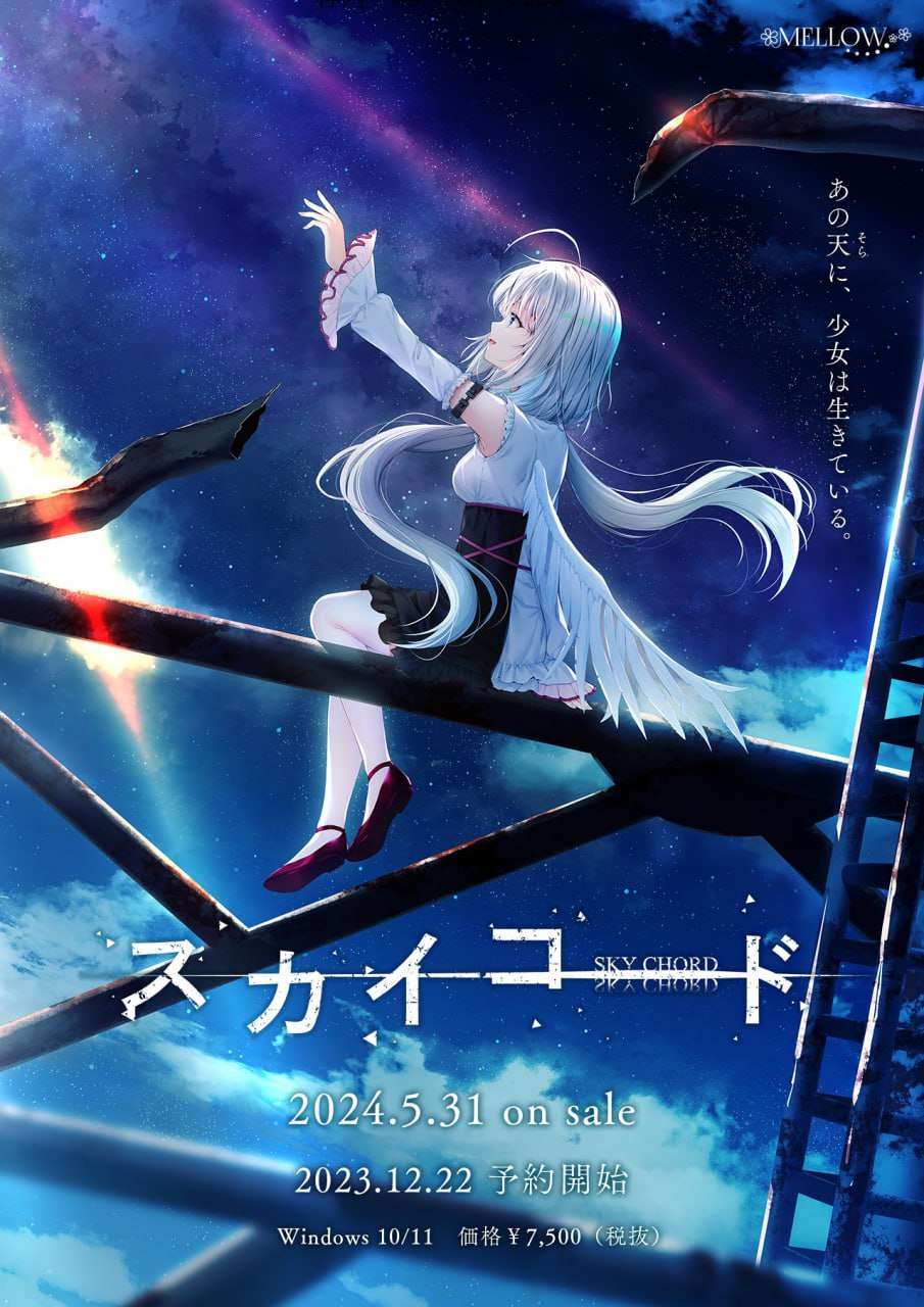 [ADV汉化PC全CG存档]天空之弦 スカイコード [FM/BD 3.23G]