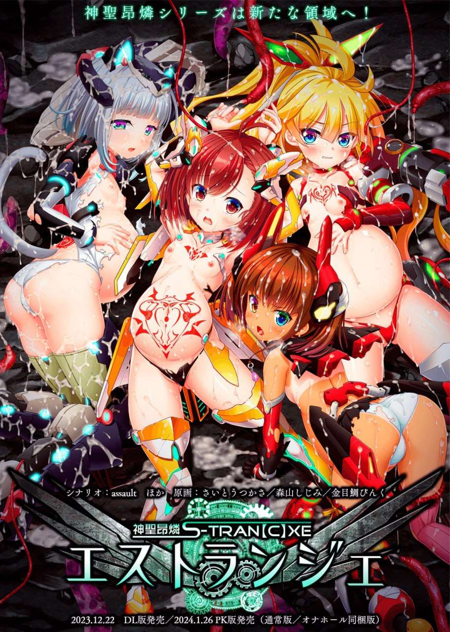 [ADV汉化PC全CG存档CV]神聖昂燐魑鬽融芯 神聖昂燐エストランジェ[FM/BD 2.55G]
