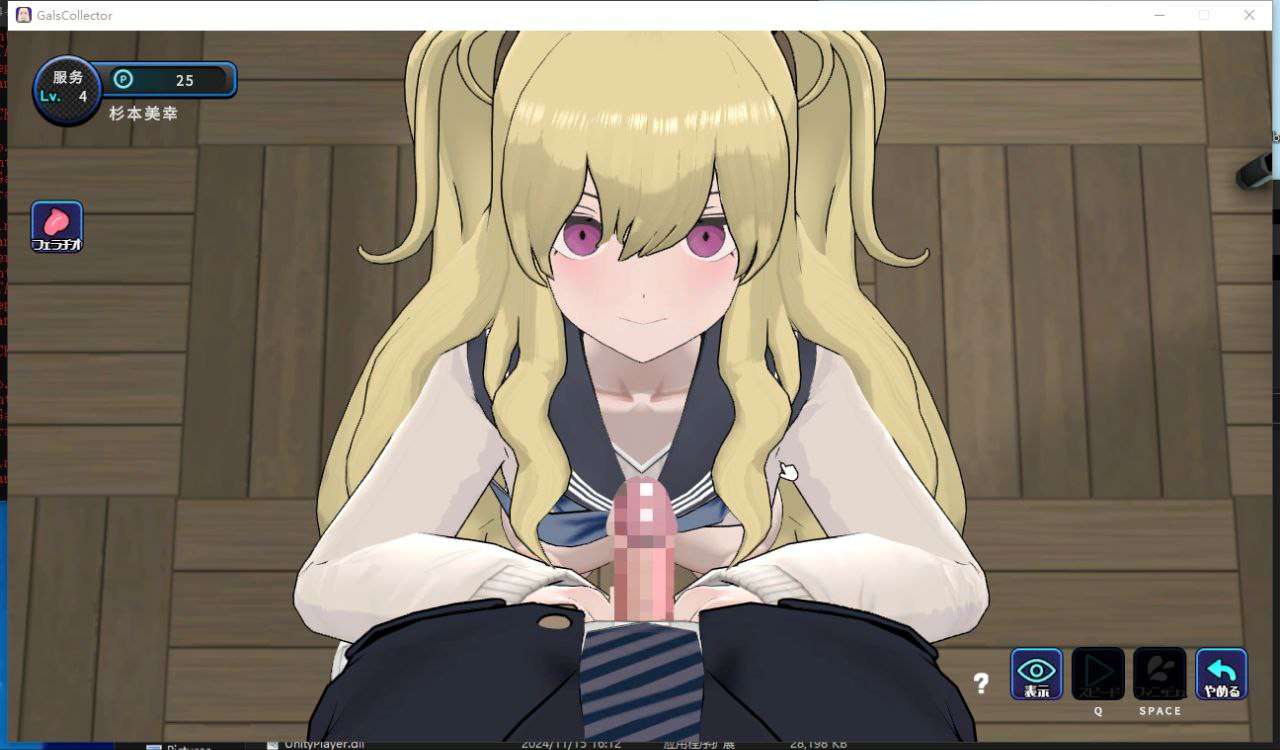 [SLG/PC/动态/全CG存档/机翻]女孩收藏家