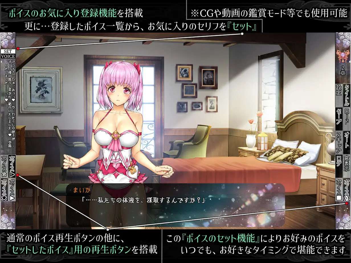 [ADV汉化动态PC] 少女异种间狱 魔法少女与精灵公主[FM转BD 3G]