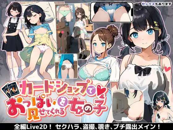 [SLG汉化PC动态]在纸牌店给我看胸部的女孩カードショップでおっぱいを見せてくれる女の子v1.04[FM/BD 709M]