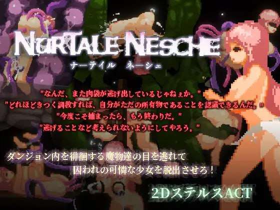 [ACT官中PC像素动态CV]ナーテイル・ネーシェ v1.0.3.0[FM转BD 172M]