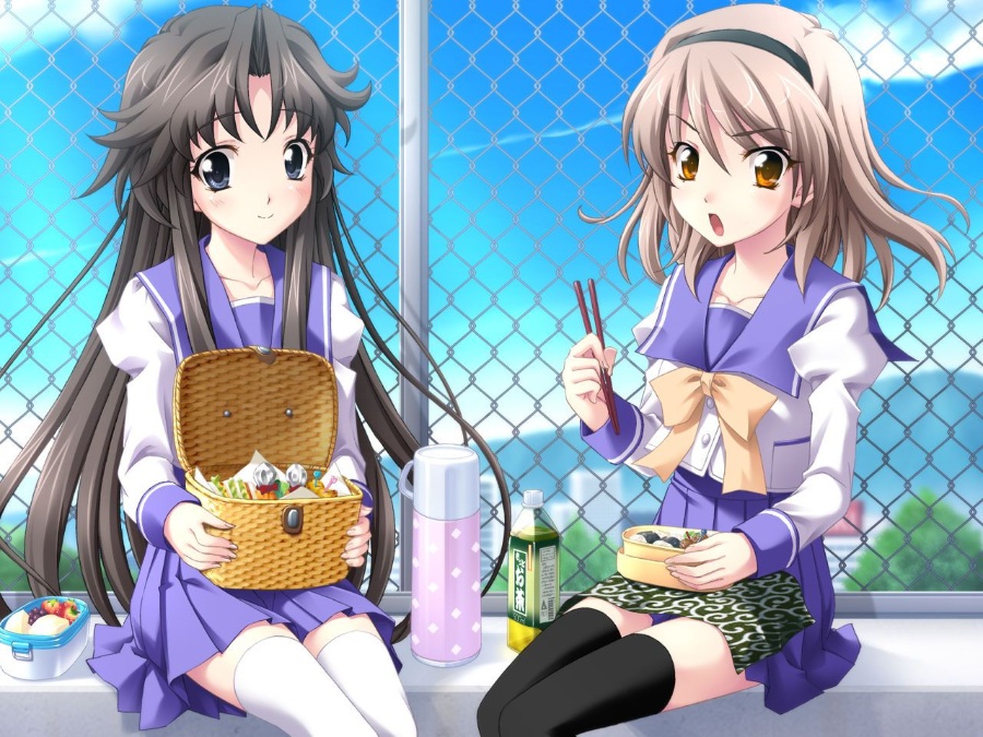 【ONS PC PSP】《秋之回忆系列大合集!》全(伪)系列(本传/续编/外传)【51.9GB】(全汉化)