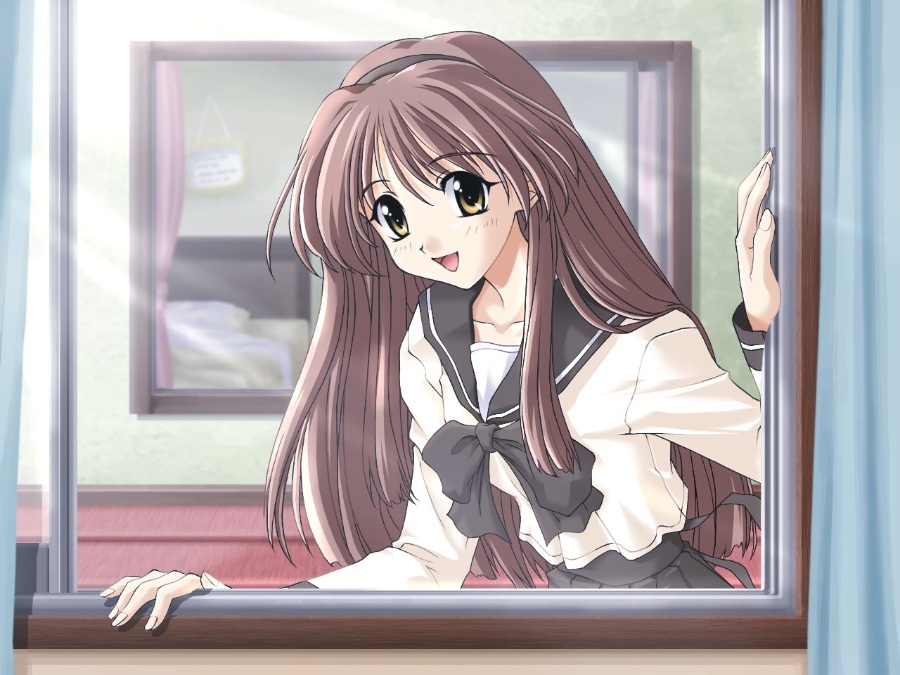 【ONS PC PSP】《秋之回忆系列大合集!》全(伪)系列(本传/续编/外传)【51.9GB】(全汉化)