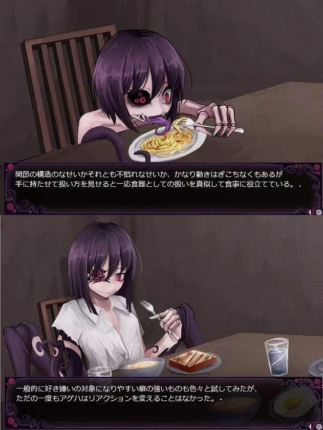 〖PC＋安卓手机版〗奴隶少女希尔薇各个版本，三四十G左右。注意:是各个版本，不是所有版本。因为版本比较多，所以比较乱，有很多版本都是重复的。