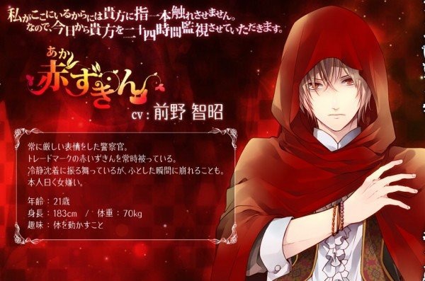 大正×对称爱丽丝1-5【1-3汉化版 4-5日版 cg＋特典＋攻略】PC版