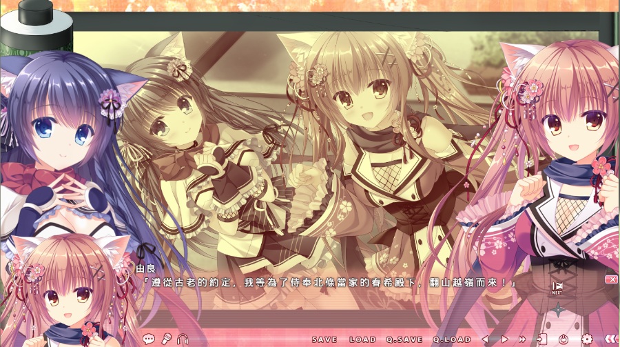 猫忍之心合集（解压密码⑧）