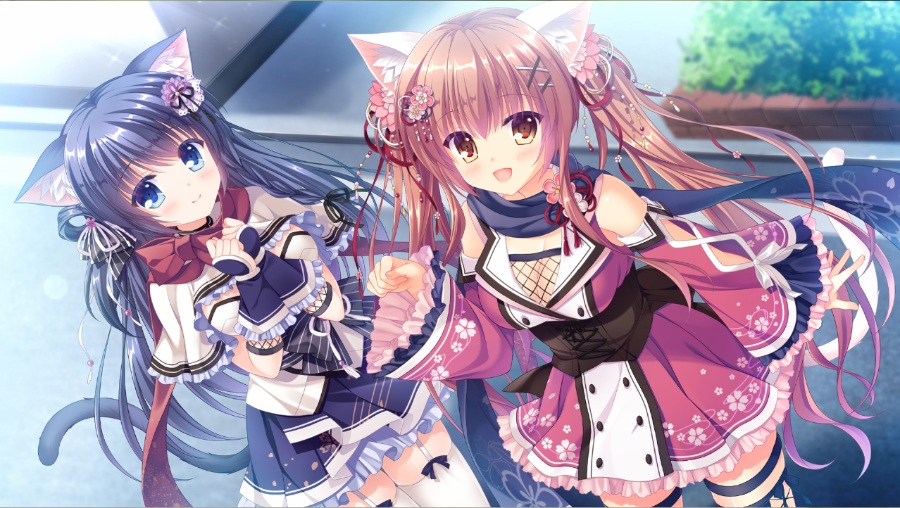 猫忍之心合集（解压密码⑧）