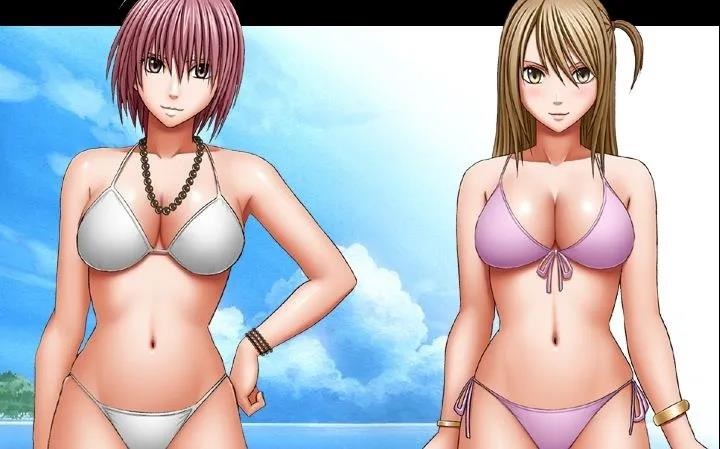 「C社经典84款作品最全大合集」FLASH大合 | PC | 中文 | 动态CG | 全动态