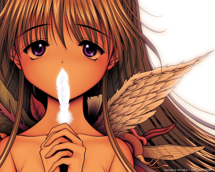 对你说再见～comment te dire adieu～（PC汉化/620M）