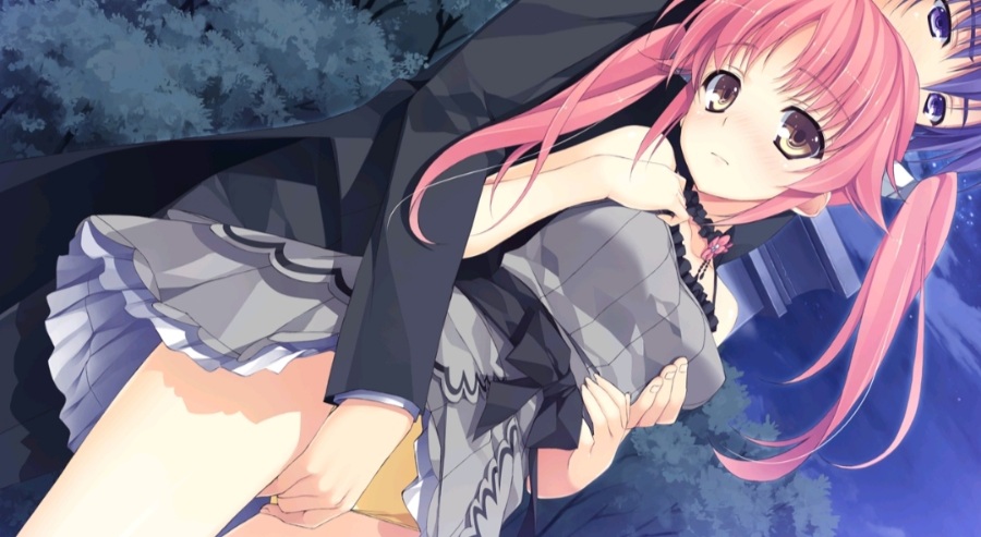 【骑士系列】【合集】2/2 *恋騎士 Purely☆Kiss* *銃騎士 Cutie☆Bullet* 内附CG包