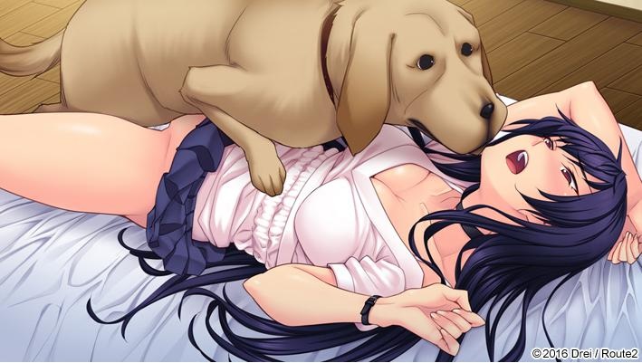 ヘチマに戀する女子校生 -JK×JK- パッケージ版