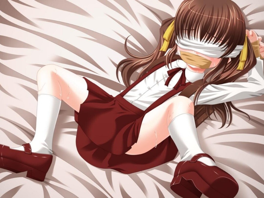 【2.5D】[目隠し娘] 作品合集 (33部 7.89G)