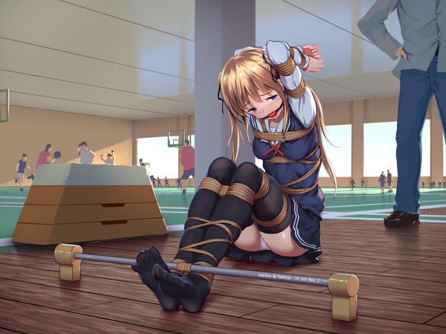 Himitsu画师（ひみつ）合集【裤袜捆绑调教】