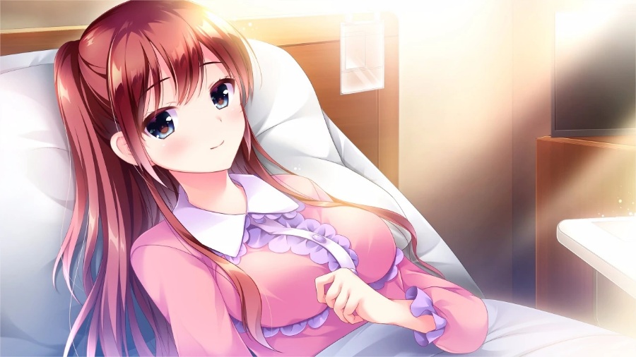 【ADV/汉化】恋心如花悄绚烂 恋はそっと咲く花のように【PC】