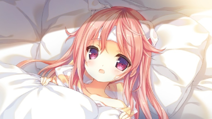 KARAKARA 1+2合集 [PC][中文]