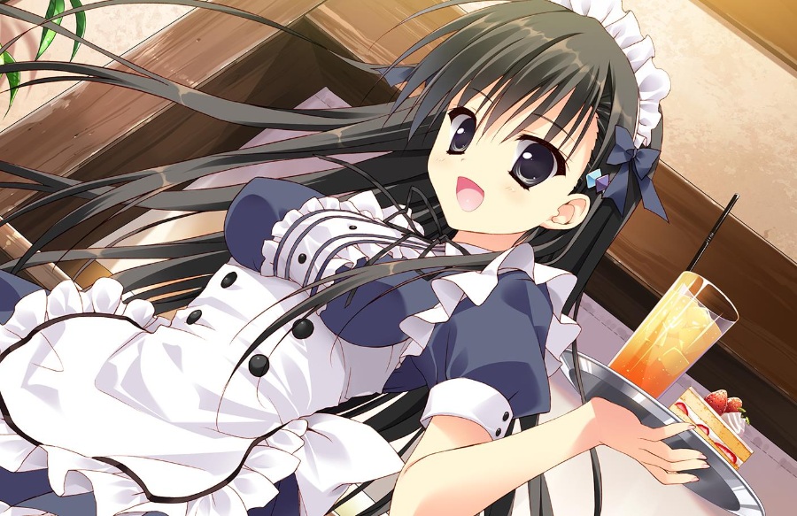 PC 学校的圣域 她的圣域