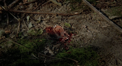 【6部电影合集】重口丨惊悚丨悬疑丨动画丨纪录片丨度盘独立下载