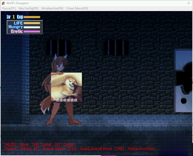 【经典ACT/全动态/像素】Wolf's Dungeon Ver200712 完整版/付全开存档【150M/CV】
