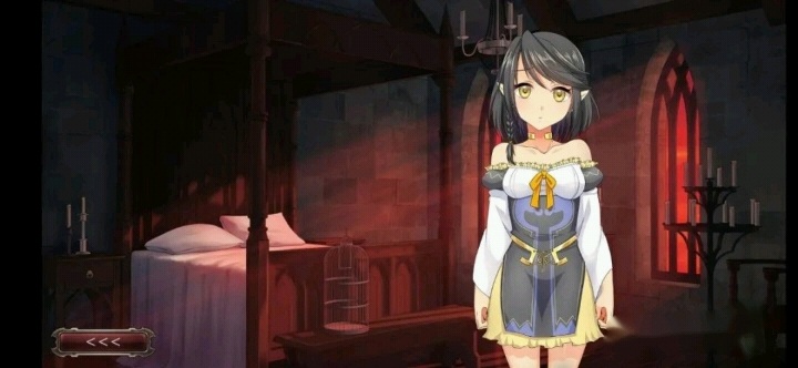 [安卓/调教]精灵征服者系列1～2