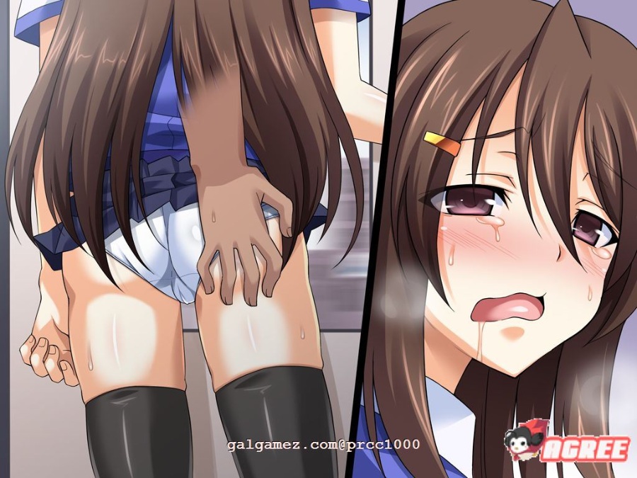 【拔作ADV/汉化/恶堕】TS魔法少女闪 调教恶堕plus！[这很恶堕汉化组]【2G/新汉化/CV】