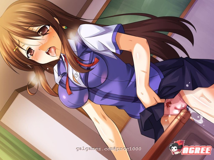 【拔作ADV/汉化/恶堕】TS魔法少女闪 调教恶堕plus！[这很恶堕汉化组]【2G/新汉化/CV】