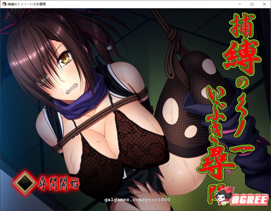 【调教SLG/全动态】捕縛之忍·熏的紧缚拷问计划 DL正式版【750M】【全CV/新放流】