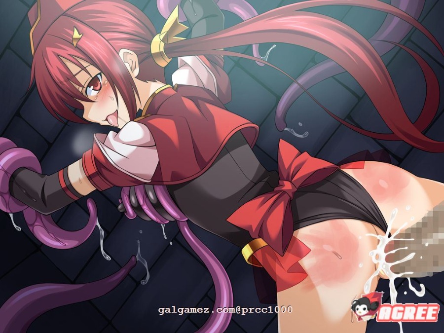 【拔作ADV/汉化/恶堕】TS魔法少女闪 调教恶堕plus！[这很恶堕汉化组]【2G/新汉化/CV】