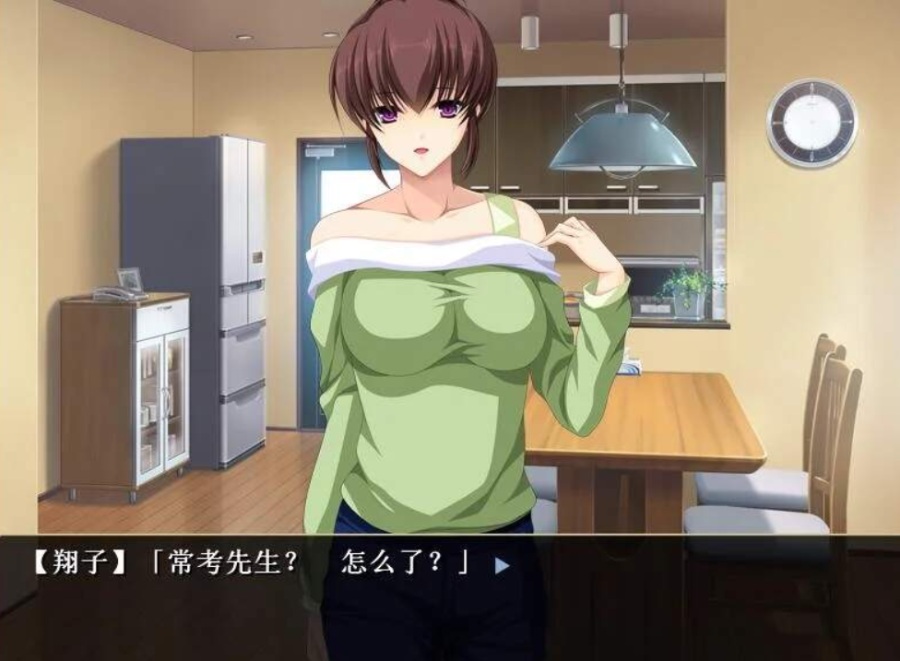 自宅警备员2胁迫无双最终版补丁整合汉化版+1代汉化+9动画+4漫画【8.36G】