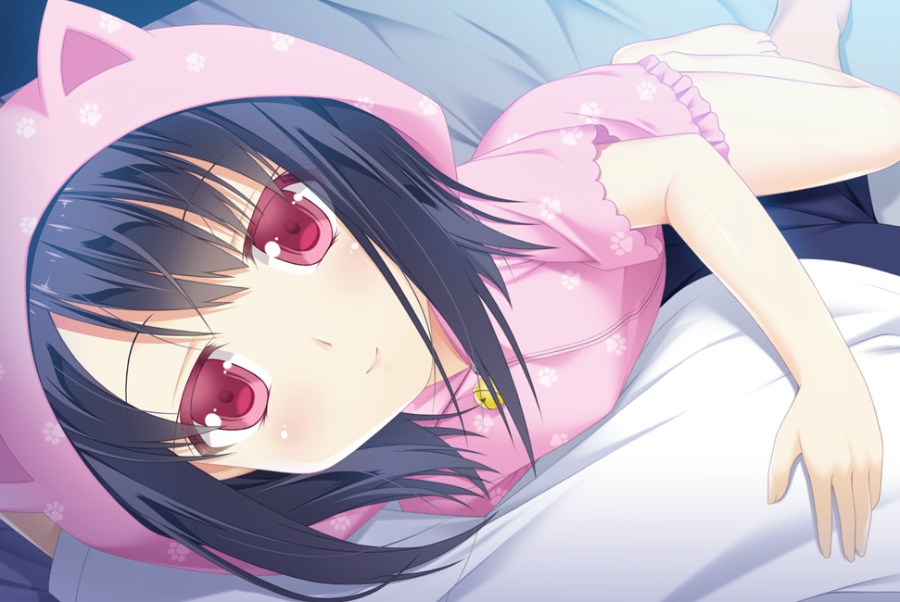 お兄ちゃん寝ちゃった[ADV][PC][krkr][生肉]