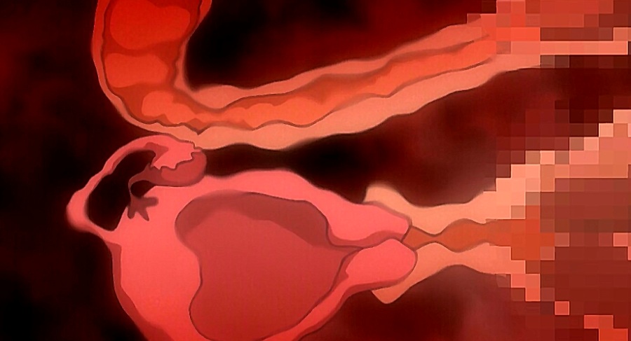 【里番/汉化/1080P】学園催眠隷奴  【3V 3.86G】