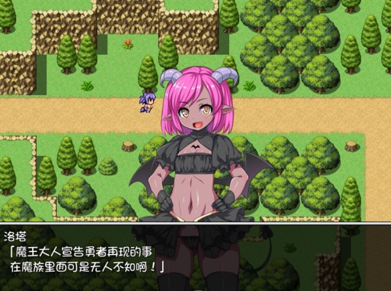 圣剑勇者的H英雄传