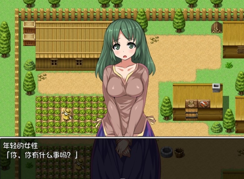 圣剑勇者的H英雄传