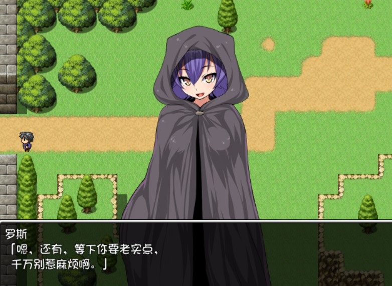 圣剑勇者的H英雄传