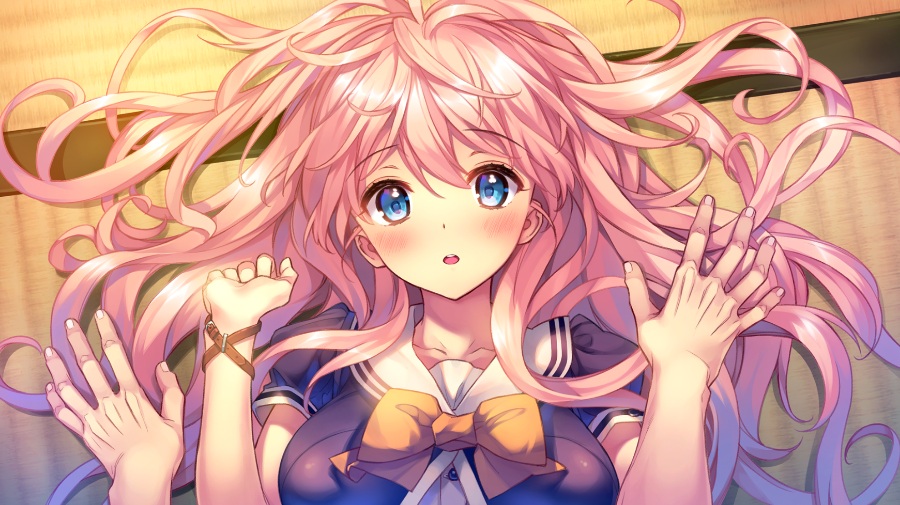 在同一屋檐下的羽翼【PC/KRKR/汉化】