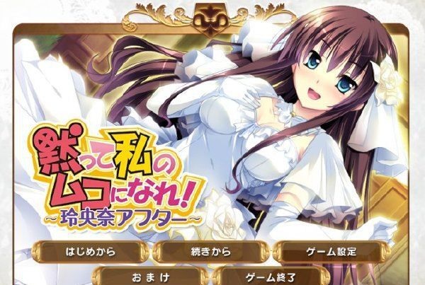 《闭嘴当我的丈夫！》（千金逼我嫁）[PC][ADV][汉化]