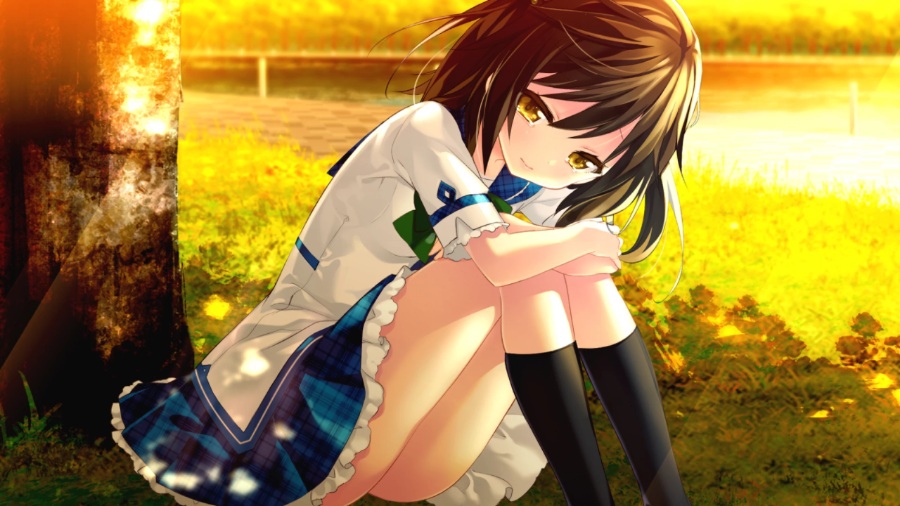 夏天的谎言-Ahead of the reminiscence【PC/汉化】