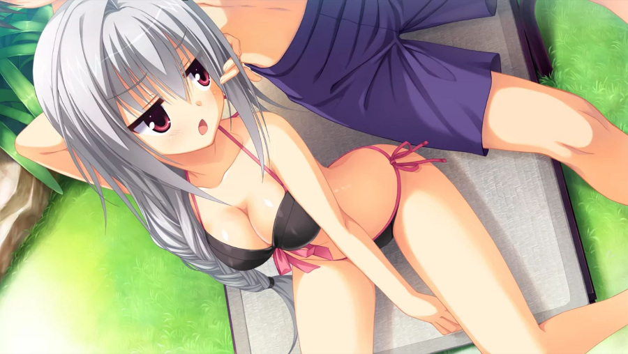 【KRKR/PC通用】【汉化】DRACU-RIOT！