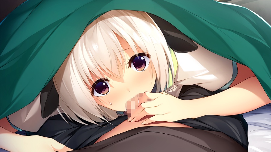 [PC/ADV/汉化硬盘版] 饲养捡到的美少女～和兽人娘的亲热生活 / 拾われ愛して奉仕したい 〜亜人娘とのイチャエロ生活〜 +CG包[RAR 773MB]